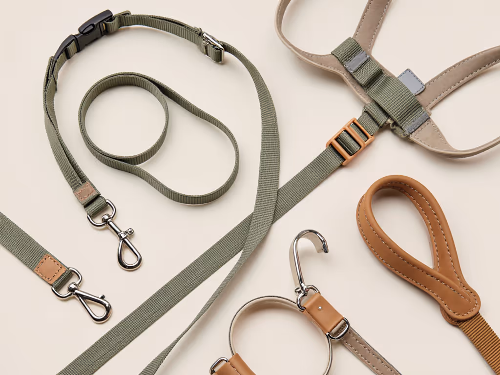 Leashes, Collars & Headgear