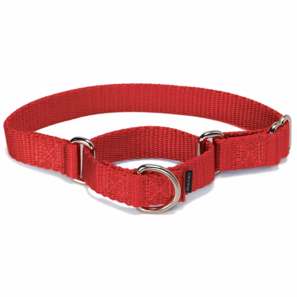 PetSafe Adjustable Martingale Collar