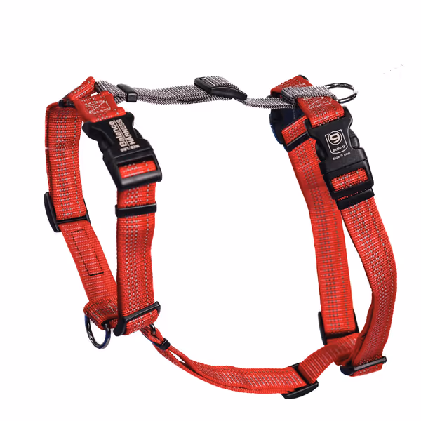 Blue-9 Reflective Buckle-Neck Balance Harness