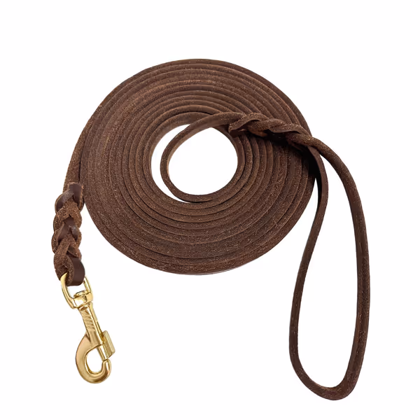 Guiding Star Long Leather Leash