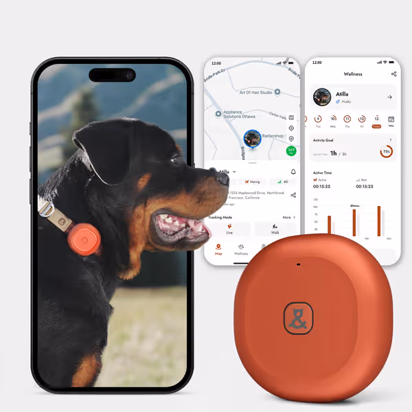 GPS + Bluetooth Pet Tracker